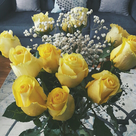 Meet your Posher, Selina - Picture 1 of 1